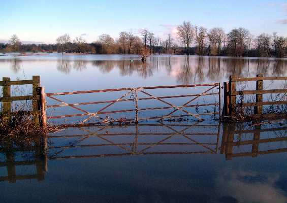 ../Images/dscf3447 a4.jpg